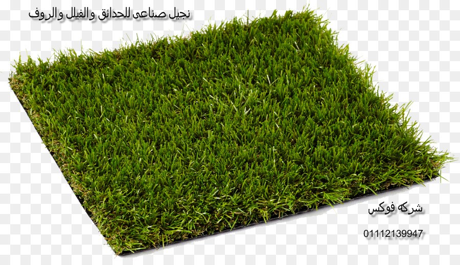 kisspng lawn artificial turf artificial knowing carpet lan turf 5ac63d82e95598.5491309415229413149557