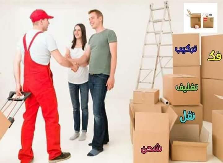 69446506 228987924728913 2506552667816329216 n 228987911395581