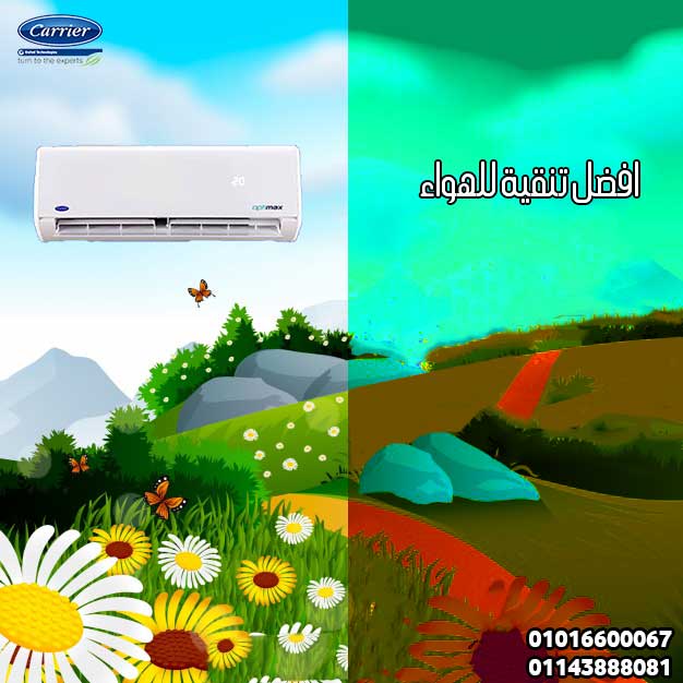 detailed spring landscape 23 2147753333