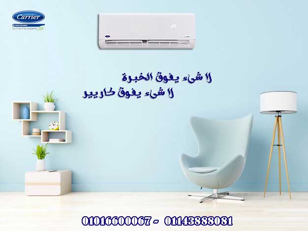 modern living room with blue armchair have cabinet and wood shelves on wood flooring 41470 303