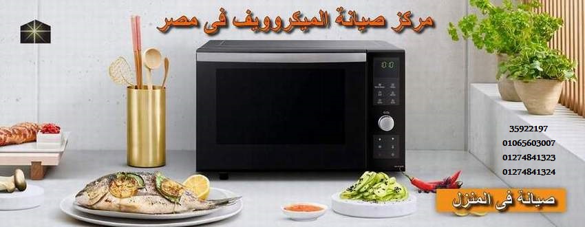goldi microwave repair