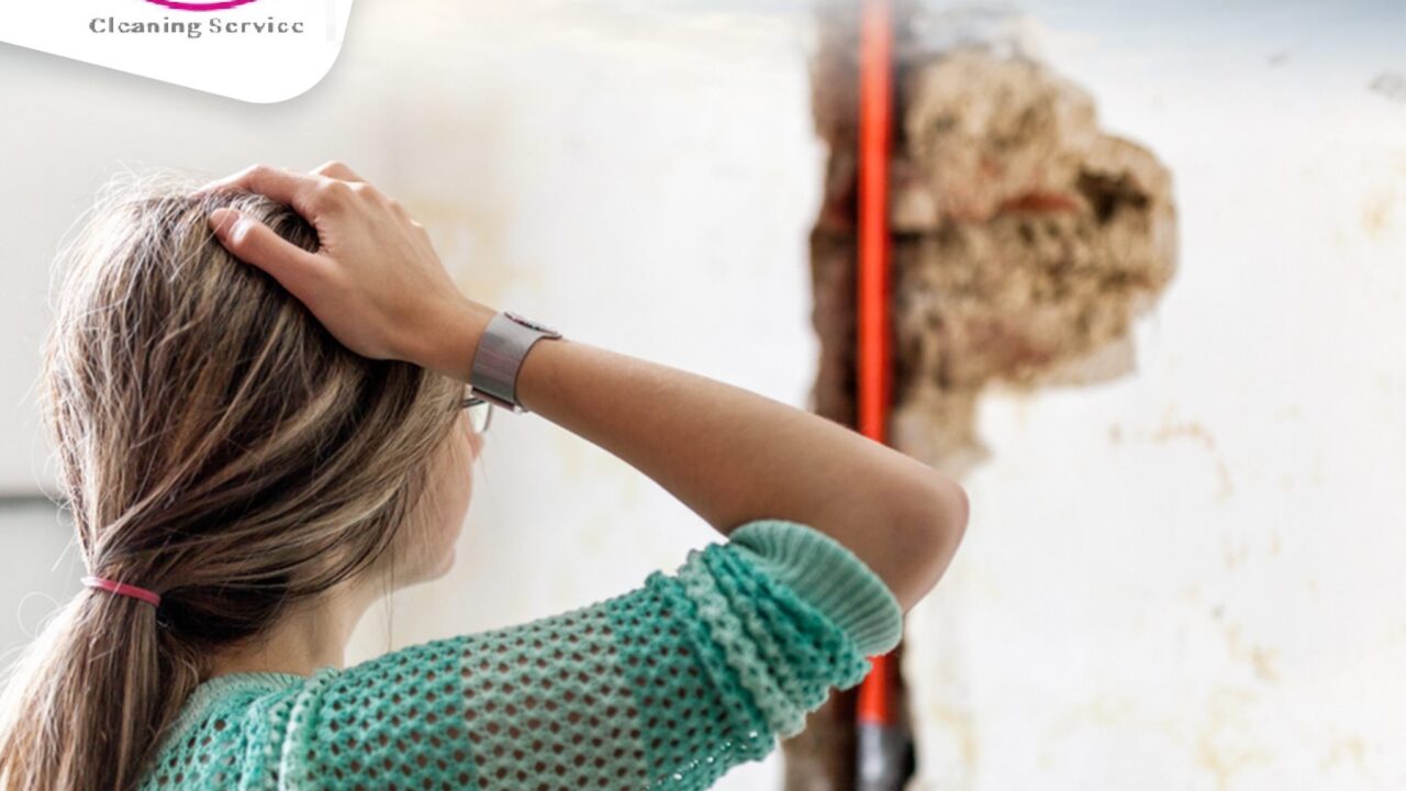 212554807 329513192008838 2701794426998383372 n