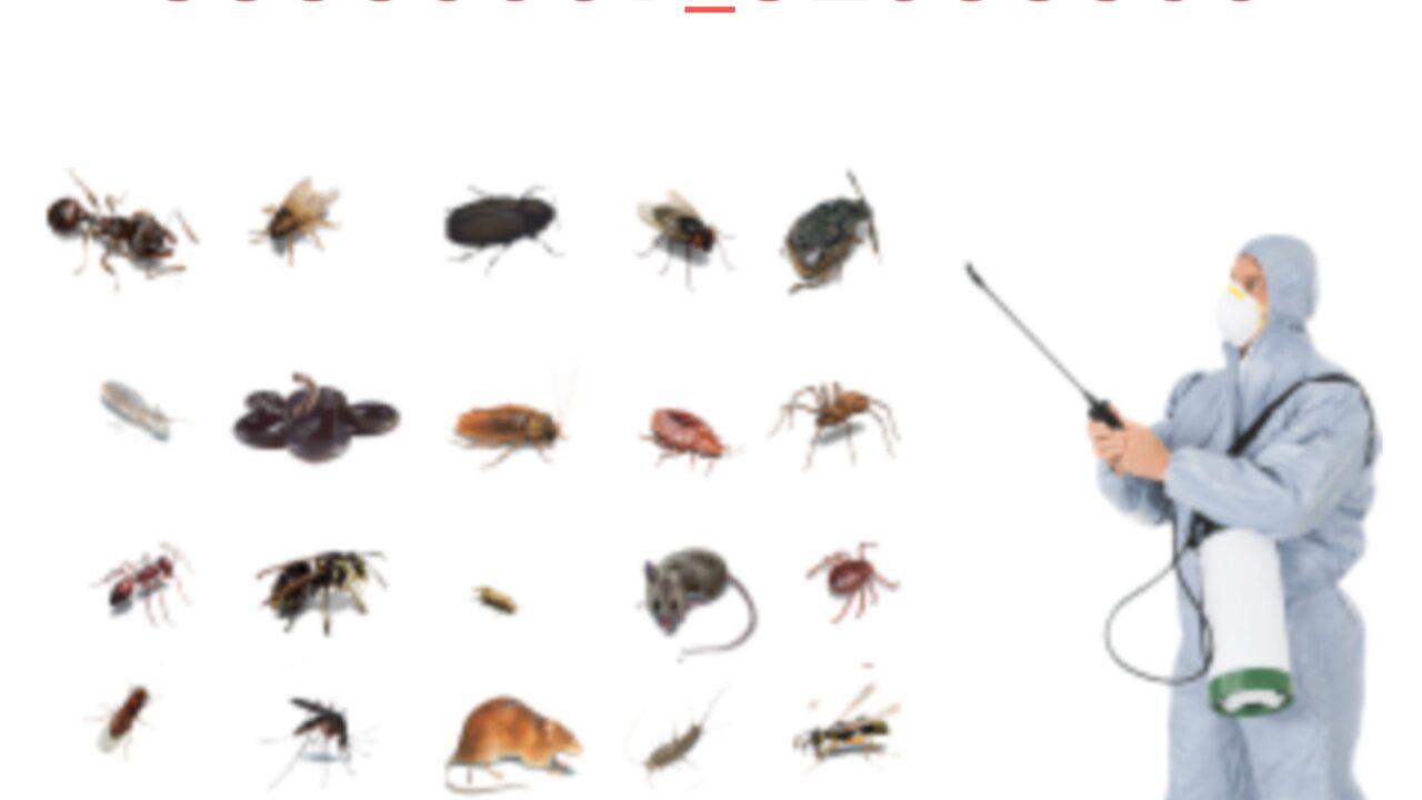 PicsArt 09 04 11.27.45