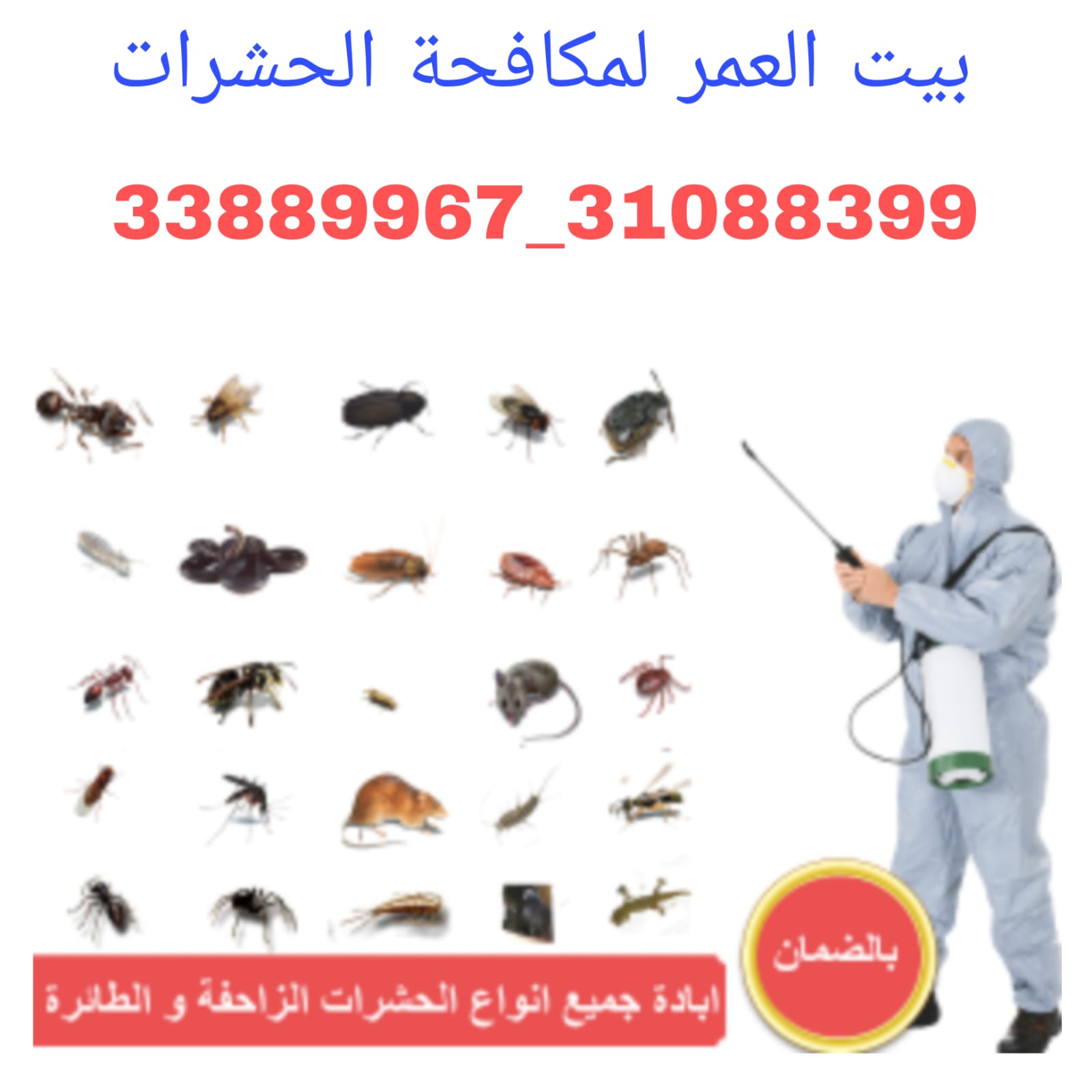 كلمات قطريه