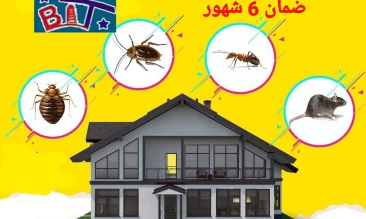 Image 55c93ed6 3088 47a6 8fbd e7da6b3b52c0