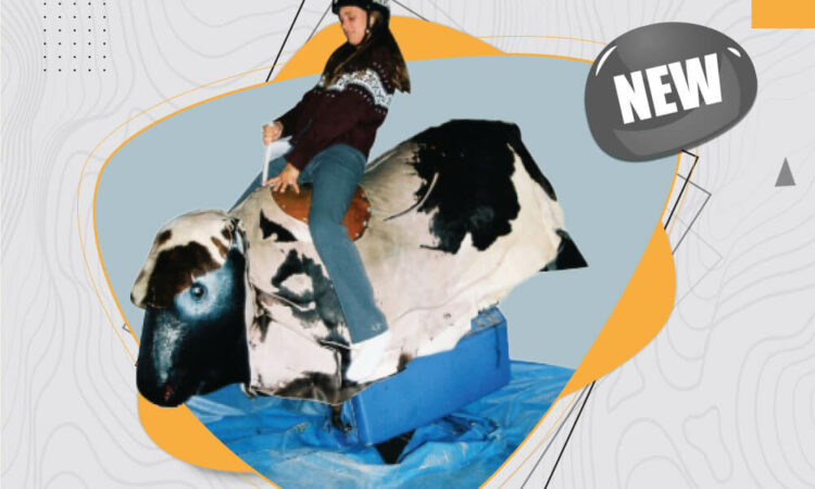 ride bull