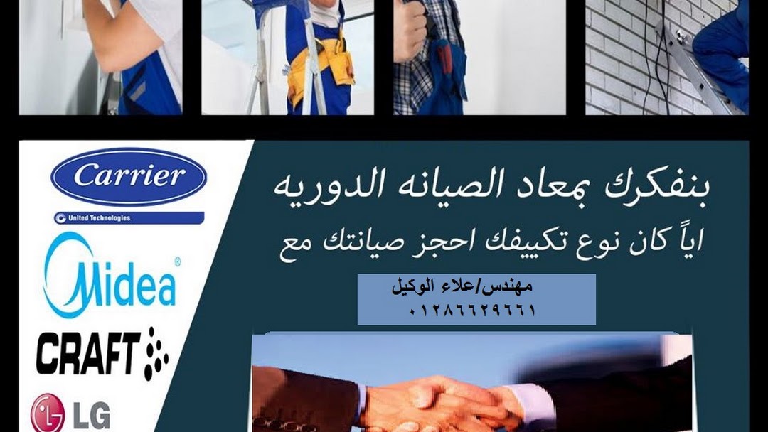 Carrier Egypt Service