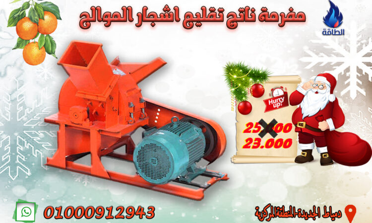 269007194 990631158199572 1828379043594231318 n