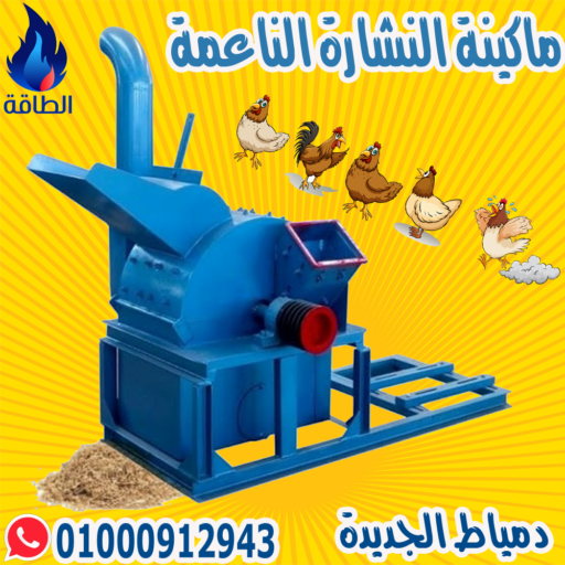 270647805 484293553037962 7825127948881854422 n