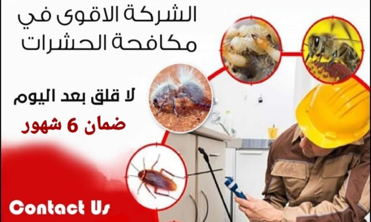 Image 34e3ad07 c3d0 4efa 8f14 5372e0c9fac0