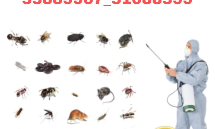 Image c49325b0 b3b9 4892 a69a 6c22c61ed1be