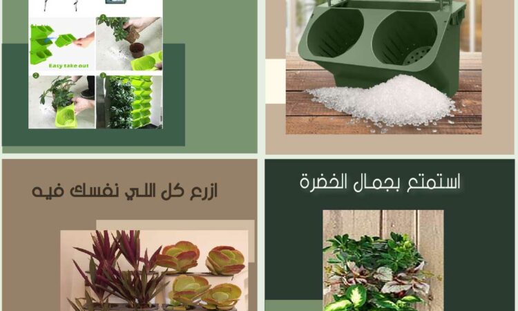 اصيص صغير 1200