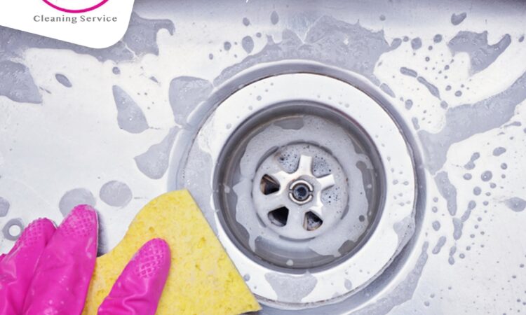 142662655 233206281639530 3536327204770786390 o Copy