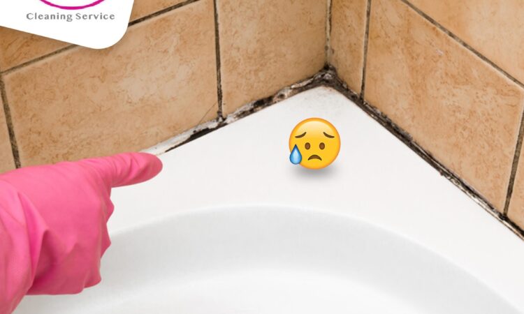 155880413 253570232936468 5323688921036262620 o