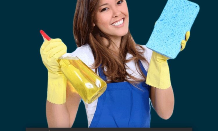 233834291 112589497783484 1597395744585406260 n