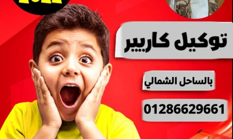 274710965 7059297040809364 8368454563275800312 n