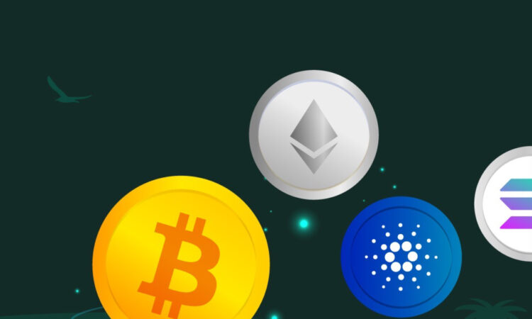 FB33AC0C 648F 4A7D 81C7 B7BE86B25ADF