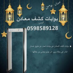 بوابات كشف المعادن 1