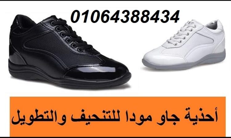 139767729 2892491784300357 7092541909109600527 n