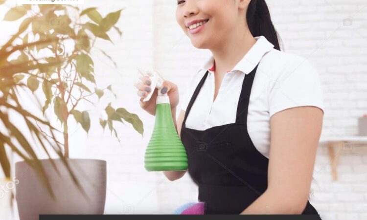 236940180 114418070933960 2609467963125110305 n