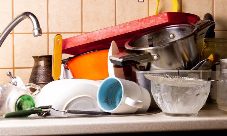 242895979 4580134192032790 2632499881154625822 n