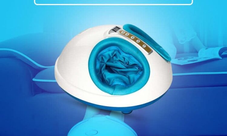 256619392 269160585225306 6562101012321765682 n