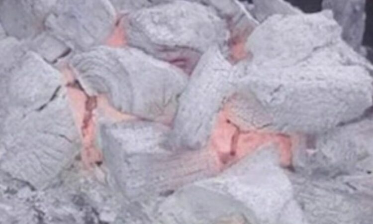 81110431 2770415133051729 6291548658551397705 n