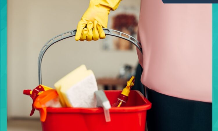 230364442 116353214065455 8769094124555807805 n