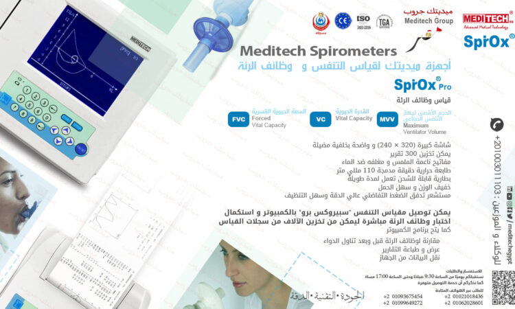 248901334 410642270517188 2759547766615589472 n