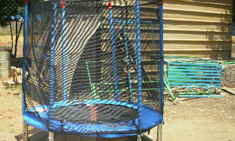 259166840 4108395655931021 4818872505499853864 n