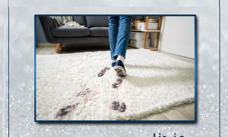 272438498 5683570241666602 4406158502075942146 n