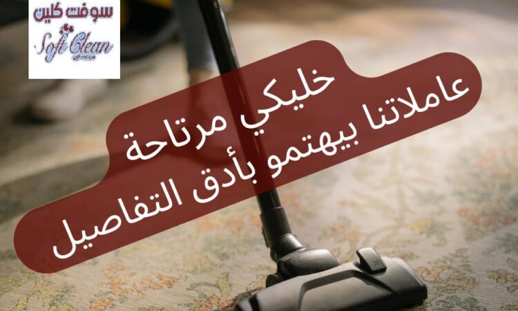 274005030 5076689219043949 9109317338742175318 n