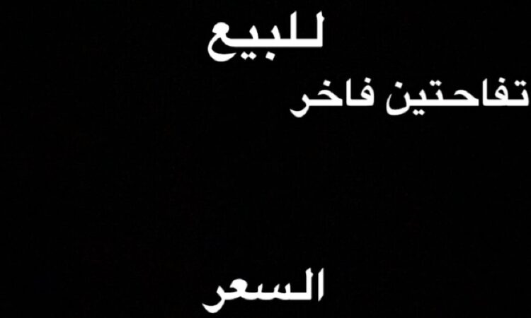 B52E656E 2049 42C8 A482 E7A562BC403F