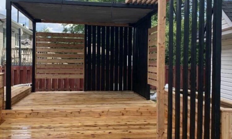 Picsart 22 08 13 16 02 57 345