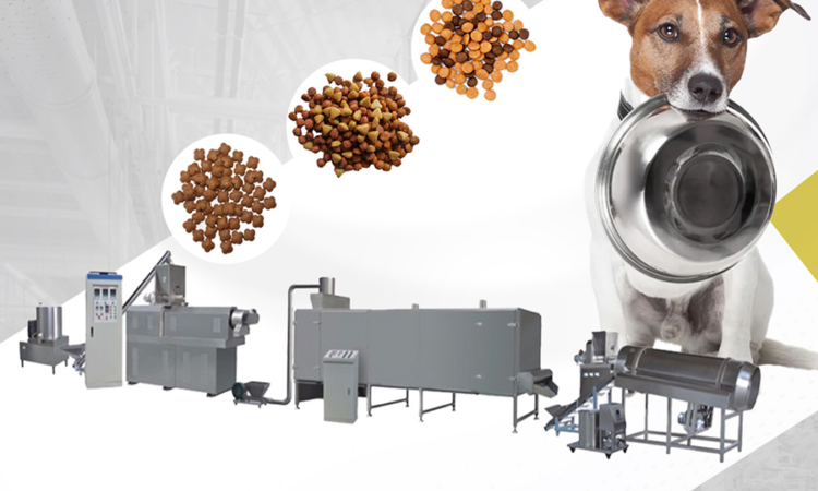 الدراي فود 00