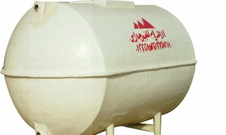 262361213 4126220020815251 6143843858457086740 n