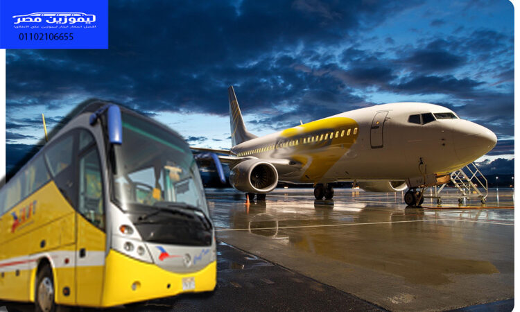 alanat.net6339a8d176b92