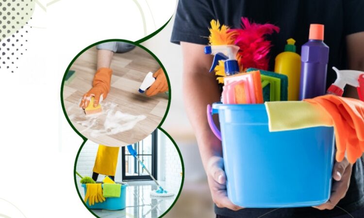 alanat.net633eb4feb22a3