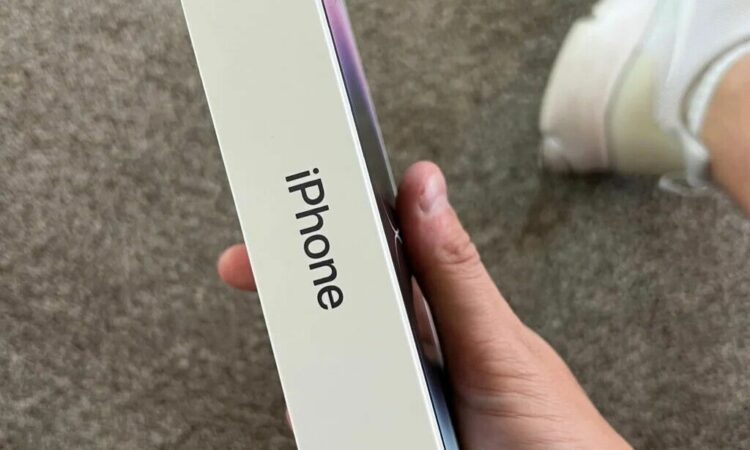 alanat.net633fe6f67a1e2