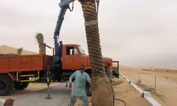 alanat.net634461035bb14