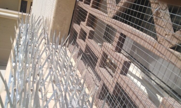 alanat.net6352626d437cf