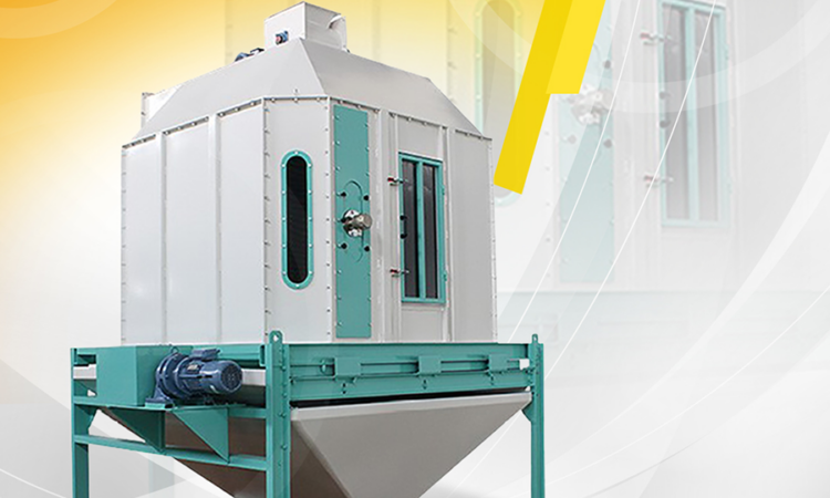 alanat.net6354031000187