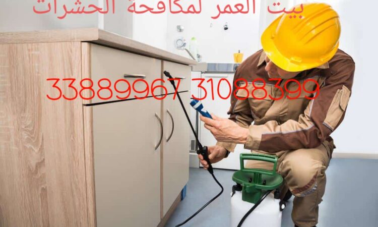 alanat.net6381cb21be53e