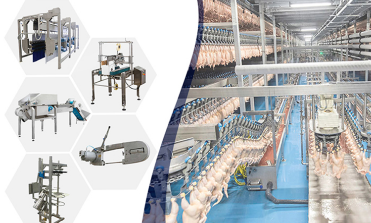 alanat.net63a0347dcc83d