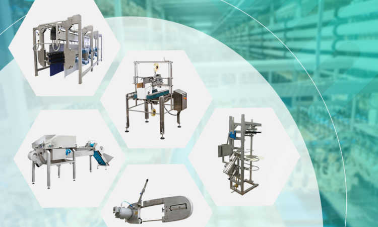 alanat.net63f3586f75d79