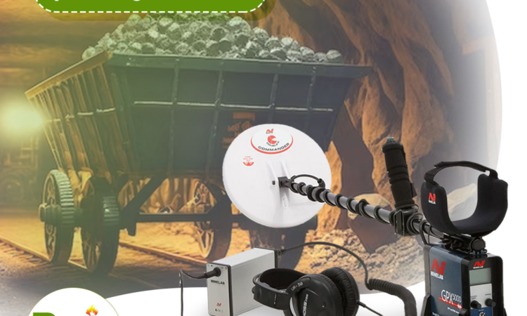 alanat.net6469d4e16a020