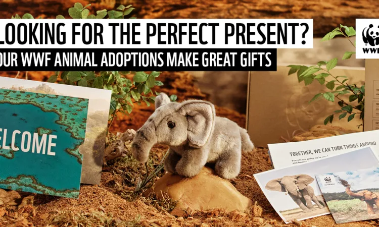 alanat.net648c8832cd945