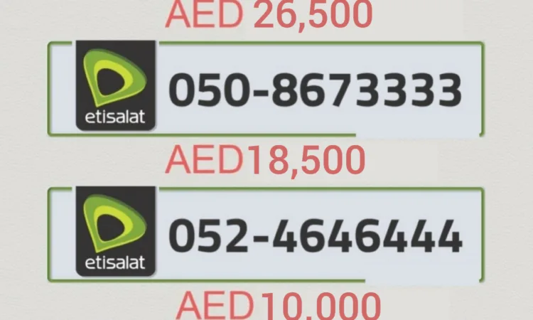 alanat.net648dd5d3916d3