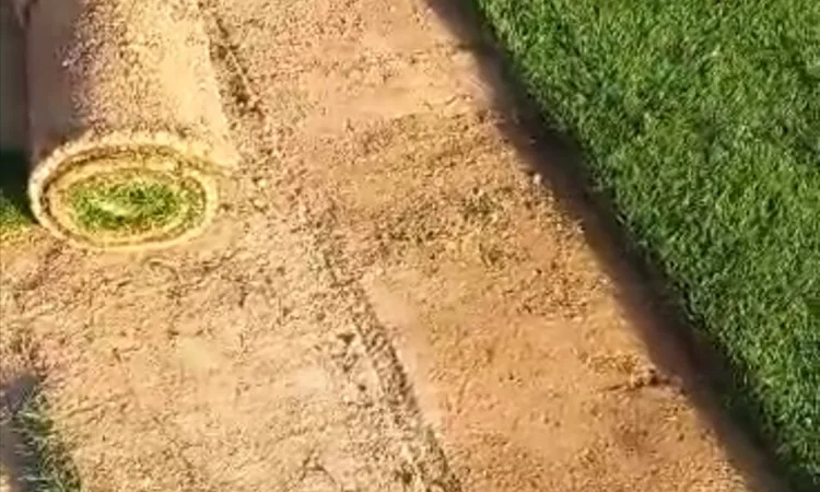 alanat.net64a7ed5f2e248