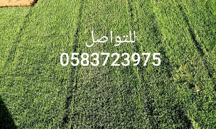 alanat.net64ad0496e3b83